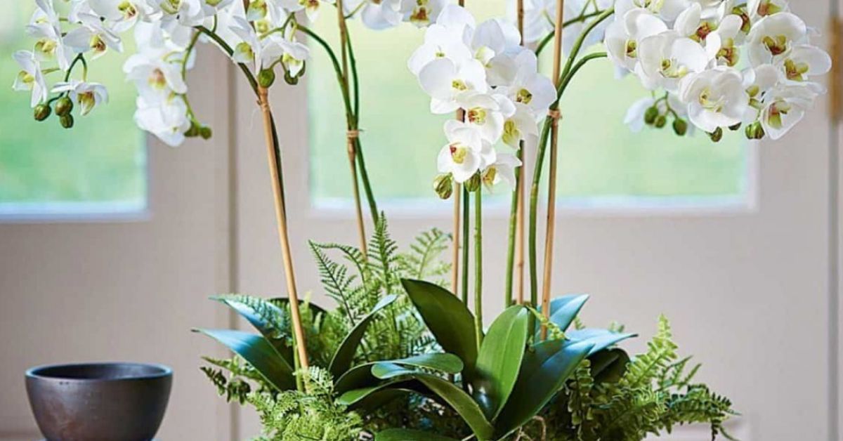 Flowers That Symbolize Gratitude and Say Thank You