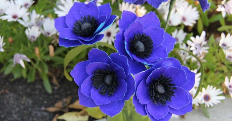 Flowers That Symbolize and Represent Protection