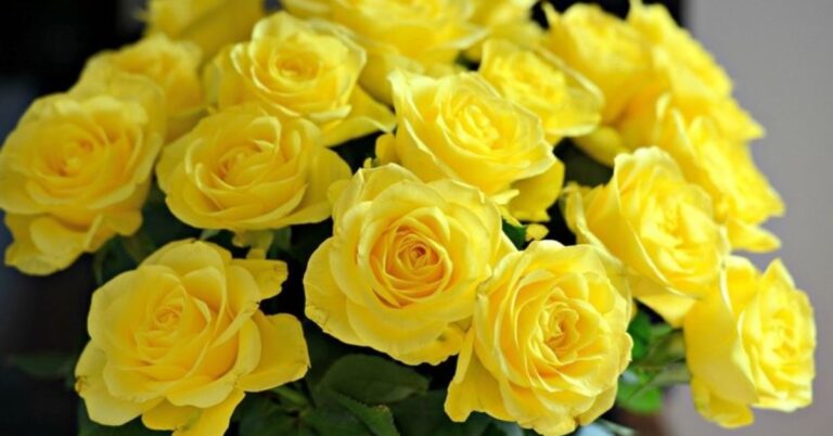 Yellow Flowers Meanings