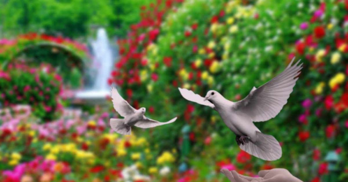 Flowers That Represent Freedom