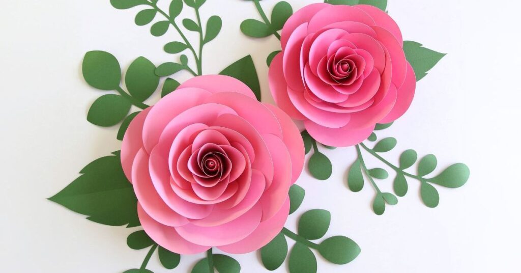 What Do the Number of Roses Signify?