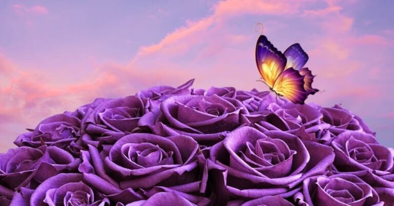 Purple Flowers Meaning