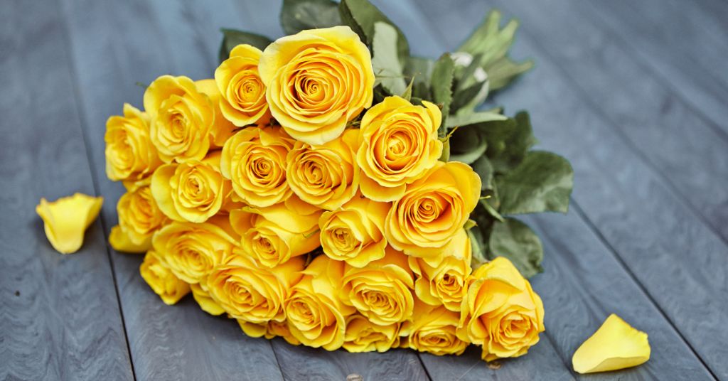 The Meaning Symbolism and History of Yellow Roses