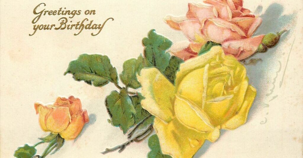 Yellow Rose As Birthday Gift