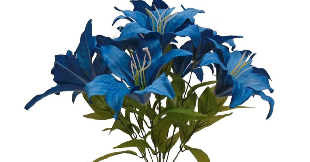 Blue lilies Meaning of Lily Flowers