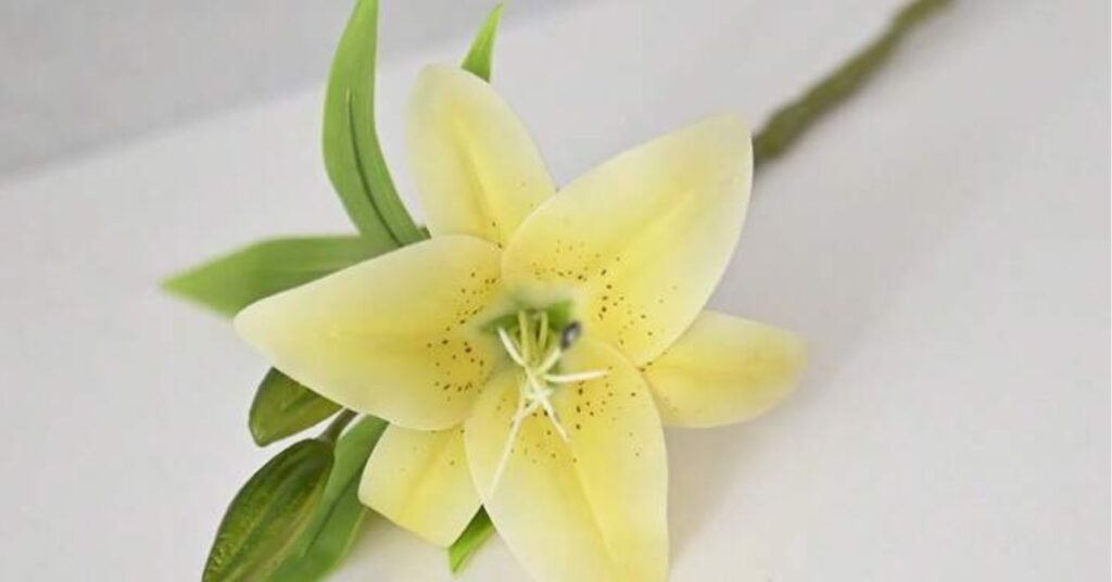 yellow lilies Meaning of Lily Flowers