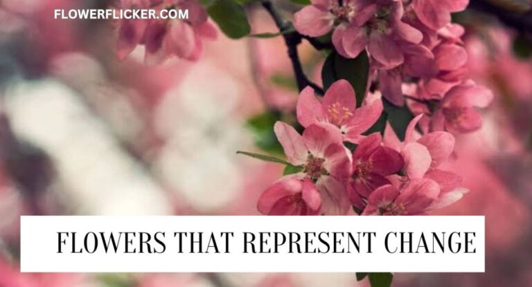 Flowers That Represent Change