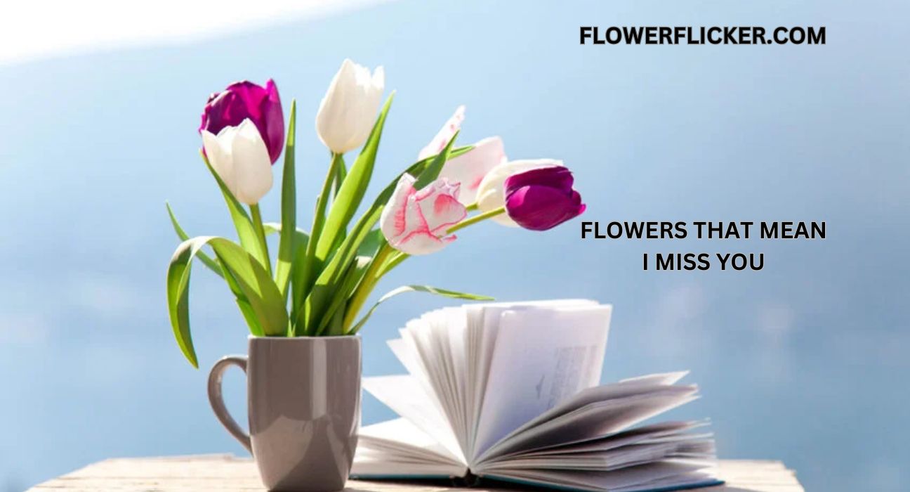 Flowers That Mean I Miss You