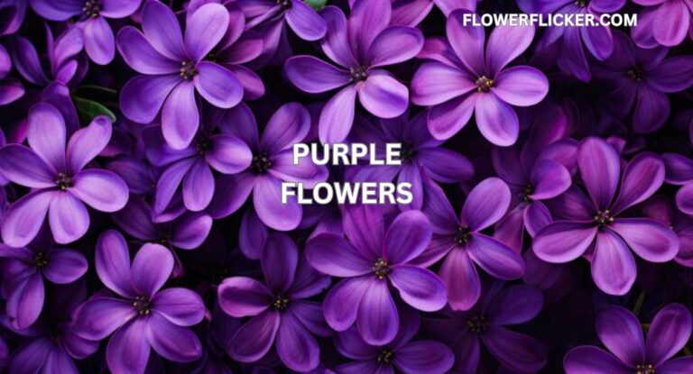 purple flowers