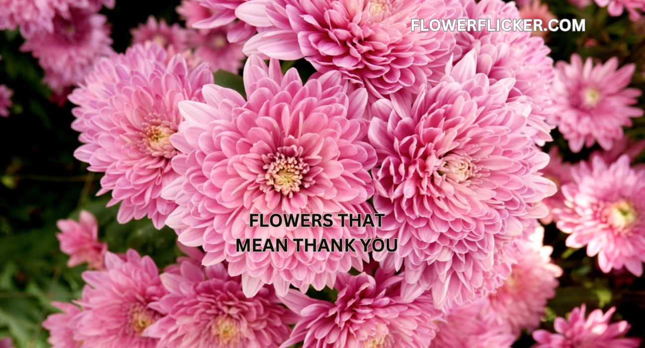 Flowers That Mean Thank You