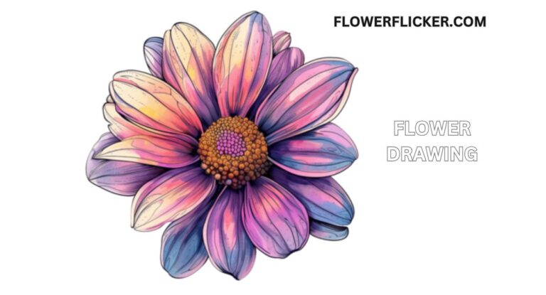 flower drawing