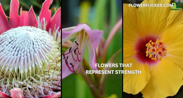 flowers that represent strength