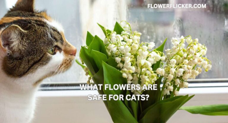 What Flowers Are Safe For Cats?