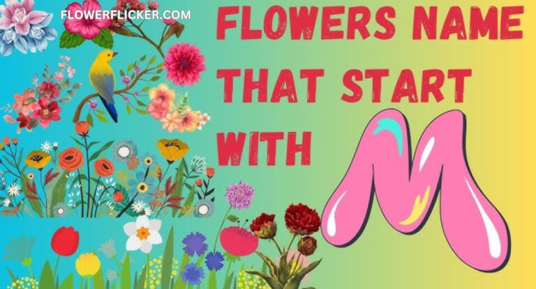 flowers that start with m