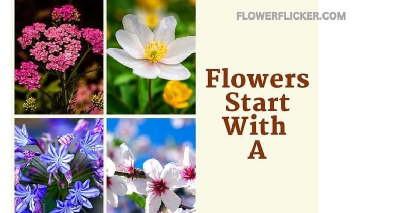 flowers that start with a