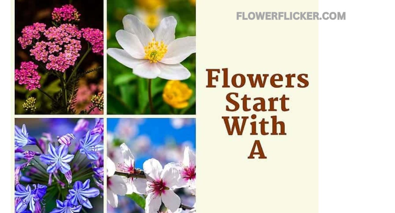 flowers that start with a