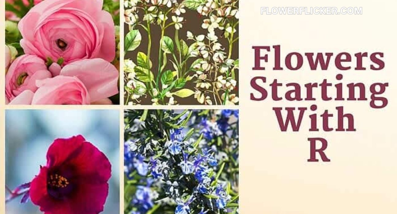 flowers that start with r
