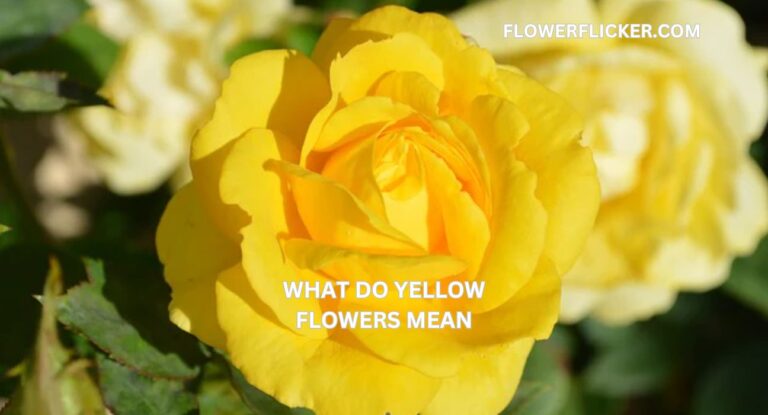what do yellow flowers mean