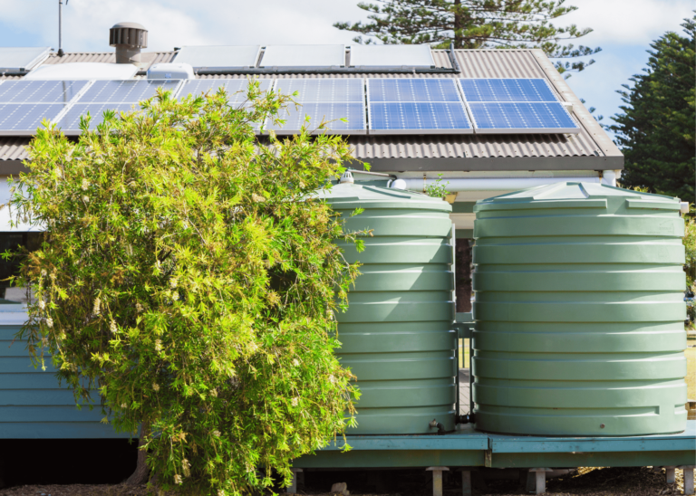 How to Store and Preserve Water in an Off-Grid Setup