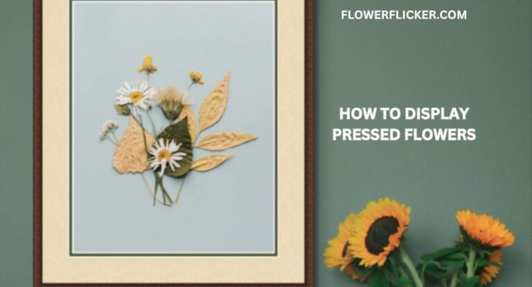 How to Display Pressed Flowers