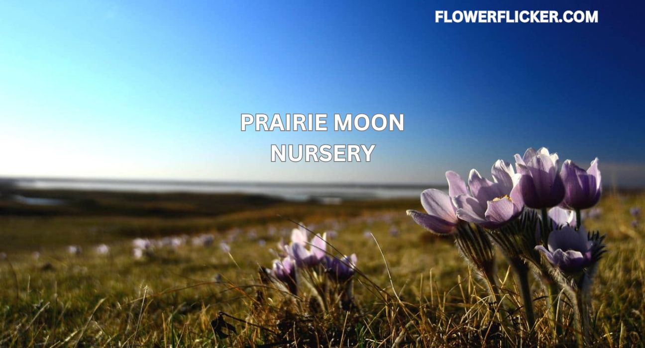 prairie moon nursery